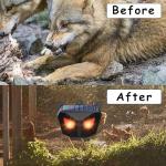 Solar Nocturnal Animal Repeller, Predator Control Light Animal Repellent for Coyote, Raccoon, Deer, Fox, Skunk, Outdoor Predator Deterrent Ideal for Garden, Yard, Farm, Chicken Coop (2 Pack)