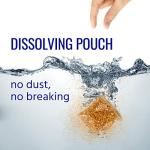 TERRO T1210 No Mess Mosquito Larvacide Pouches - 10 Pouches Included