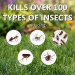 Jonathan Green (12202) Organic Insect Control For Lawns & Gardens - Lawn Insect Killer (5,000 Sq. Ft.)