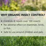 Jonathan Green (12202) Organic Insect Control For Lawns & Gardens - Lawn Insect Killer (5,000 Sq. Ft.)