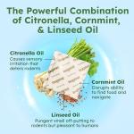 BugMD Vamoose Rodent Repellent Pouches (1 Pack, 4 Pouches) Plant-Powered Rat Repellent, Mouse Deterrent, Indoor & Outdoor Mice Repellent, Best Mouse Repellent, Natural Rat & Mouse Repellent