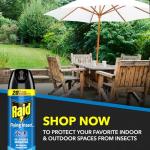 Raid Flying Insect Killer 7, Insecticide Spray with Outdoor Fresh Scent, 18 fl oz
