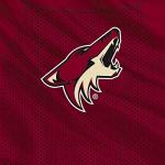 Skinit Arizona Coyotes PS4 Controller Skin - Phoenix Coyotes Home Jersey | NHL Skin