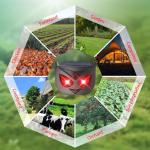 4 Pack Solar Nocturnal Animal Repeller Coyote Deterrent for Yard Predator Deterrent Animal Repellent Predator Eyes for Deer Fox Raccoon Skunk Predator Lights for Chicken Coop Farm Yard