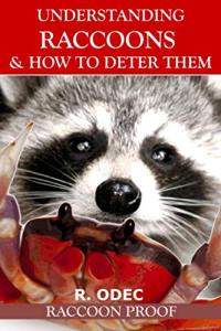 Understanding Raccoons and How to Deter Them: Raccoon Proof