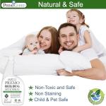 Premo Guard Bed Bug Killer Spray 24 oz - University Tested 100% Kill Rate - Natural Non Toxic, Stain & Scent Free - Kill Bedbugs & Mites On Bed & Blankets, Furniture, Clothing - Child & Pet Safe