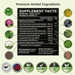 Zenmen Tick Immune Support Supplement - Improved Formula - Japanese Knotweed, Cat's Claw, Chinese Skullcap, Cryptolepis Sanguinolenta, Sweet Wormwood - 90 Vegan Capsules, Made in The USA