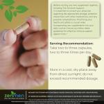 Zenmen Tick Immune Support Supplement - Improved Formula - Japanese Knotweed, Cat's Claw, Chinese Skullcap, Cryptolepis Sanguinolenta, Sweet Wormwood - 90 Vegan Capsules, Made in The USA