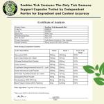 Zenmen Tick Immune Support Supplement - Improved Formula - Japanese Knotweed, Cat's Claw, Chinese Skullcap, Cryptolepis Sanguinolenta, Sweet Wormwood - 90 Vegan Capsules, Made in The USA