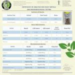 Zenmen Tick Immune Support Supplement - Improved Formula - Japanese Knotweed, Cat's Claw, Chinese Skullcap, Cryptolepis Sanguinolenta, Sweet Wormwood - 90 Vegan Capsules, Made in The USA