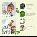 Zenmen Tick Immune Support Supplement - Improved Formula - Japanese Knotweed, Cat's Claw, Chinese Skullcap, Cryptolepis Sanguinolenta, Sweet Wormwood - 90 Vegan Capsules, Made in The USA