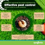 Syngenta Acelepryn SC | All-Weather Grub Treatment for Lawn, Turfgrass and Rose Bush | Insect Killer with 18.4% Chlorantraniliprole Kills White Grubs, Caterpillars and Japanese Beetle Adults – 4-Oz.