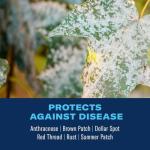 BioAdvanced Fungus Control for Lawns, Ready-to-Spray Fungicide for Lawns, 32 oz