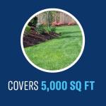 BioAdvanced Fungus Control for Lawns, Ready-to-Spray Fungicide for Lawns, 32 oz