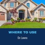 BioAdvanced Fungus Control for Lawns, Ready-to-Spray Fungicide for Lawns, 32 oz