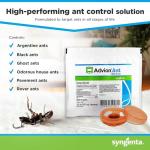 Advion Ant Bait Arena, 12-Count Bag, Effective Bait in A Small Plastic Arena for Easy Placement, Formulated with 0.1% Indoxacarb, Indoor and Outdoor Use, for Control of Most Major Ant Species