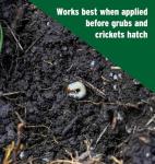 The Andersons Professional 17-0-3 Fertilizer with Grubout Plus 8,500 sq ft (18lb)