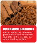 Big D 342 Odor Control Fogger, Cinnamon Fragrance, 5 oz (Pack of 12) - Kills odors from fire, flood, decomposition, skunk, cigarettes, musty smells - Ideal for use in cars, property management, hotels