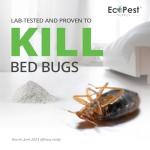 Bed Bug Killer Dust, 1 lb. | Natural Pumice Powder with Thyme and Geraniol for Indoor Treatment of Bed Bugs | Kills Bed Bugs and Eggs by Contact | Low-Odor and Non-Staining Pest Control Powder