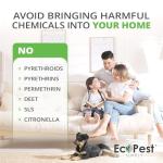 Bed Bug Killer Dust, 1 lb. | Natural Pumice Powder with Thyme and Geraniol for Indoor Treatment of Bed Bugs | Kills Bed Bugs and Eggs by Contact | Low-Odor and Non-Staining Pest Control Powder