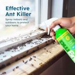 BugMD 32 oz Ant Killer & Bug Spray - Roach and Cockroach Killer Indoor, Spider and Flea Spray for Home, Fly and Insect Defense, Natural, Safe with Essential Oils, Plant-Powered, Pest Control Pack of 2