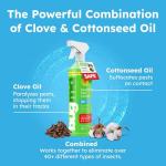 BugMD 32 oz Ant Killer & Bug Spray - Roach and Cockroach Killer Indoor, Spider and Flea Spray for Home, Fly and Insect Defense, Natural, Safe with Essential Oils, Plant-Powered, Pest Control Pack of 2