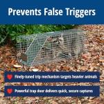 HAVAHART 1079SR Large 1-Door Humane Catch and Release Live Animal Trap Cage - Live Raccoon Trap, for Bobcats, Beavers, Dogs, & More