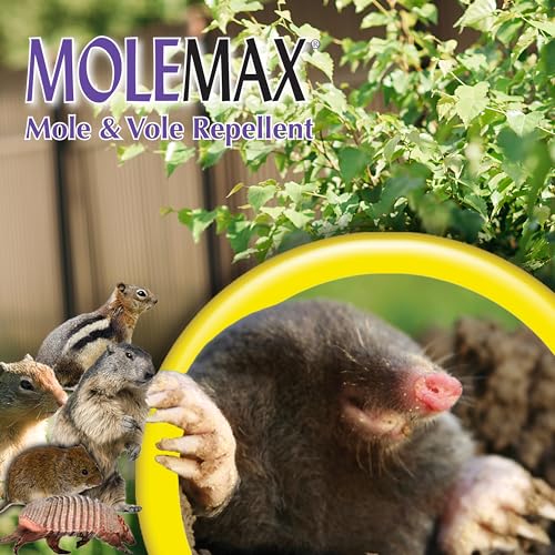 Bonide MOLEMAX Repellent Granules - 10 lbs. Outdoors