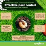 Syngenta Acelepryn G | Grub Treatment for Lawn, Turfgrass and Rose Bush | Insect Killer with 0.2% Chlorantraniliprole Kills White Grubs, Caterpillars, Japanese Beetle Adults – 25 lb