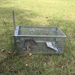 Kensizer Humane Rat Trap, Chipmunk Rodent Trap That Work for Indoor and Outdoor Small Animal - Mouse Voles Hamsters Live Cage Catch and Release 1-Pack