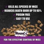 EcoClear Products 620200-6D MouseX Pellets - Effective for All Species of Rats and mice, 8 oz. Bag