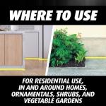 Ortho Orthene Ant and Roach Killer, Provides Long-Lasting Insect Control, for Indoor and Outdoor Use, 1 lb.