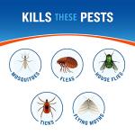 Cutter Backyard Bug Control Spray Concentrate (6 Pack), Kills Mosquitoes, Fleas & Listed Ants, 32 fl Ounce