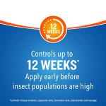 Cutter Backyard Bug Control Spray Concentrate (6 Pack), Kills Mosquitoes, Fleas & Listed Ants, 32 fl Ounce