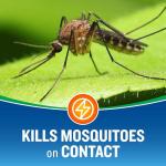 Cutter Backyard Bug Control Outdoor Fogger, Kills Mosquitoes, Fleas & Listed Ants, 16 Ounce, 3-Pack