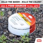 Ant Traps Indoor by Ortho Home Defense 4pk- Metallic & Adhesive Ant Killer Indoor & Ant Killer Outdoor - Ant Trap