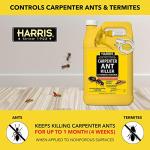 Harris Carpenter Ant Killer & Termite Control Treatment, Kills On Contact, Odorless & Non-Staining Formula, 128 Oz