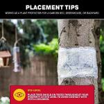 Catchmaster Insect Barrier Kit for Trees - Outdoor Insect Glue Traps for Ornamental Plants, Shrubs & Trees - DIY Beetles, Lanternflies, Cankerworms, Gypsy Moth & Ant Traps