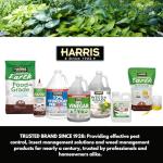 Harris Carpenter Ant Killer & Termite Control Treatment, Kills On Contact, Odorless & Non-Staining Formula, 128 Oz