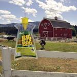 RESCUE! Big Bag Fly Trap – Disposable, Outdoor Use - 6 Traps