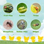 Fruit Fly Traps Fungus Gnat Traps Yellow Sticky Bug Traps 36 Pack No Harm and Odorless for Indoor Outdoor Use Protect The Plant
