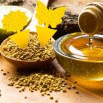 Fruit Fly Traps Fungus Gnat Traps Yellow Sticky Bug Traps 36 Pack No Harm and Odorless for Indoor Outdoor Use Protect The Plant