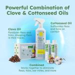 BugMD Flea and Tick Concentrate (3.7 oz, 2 Pack) - Essential Oil-Powered Formula, Controls Fleas, Ticks, Mites in Dogs and Other Furred Animals, Spray on Pet Beds, Kennels