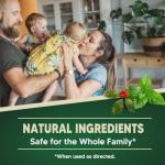 Pest Control Pouches, Mice Repellent Indoor, Rodent Repellent, Mouse Repellent, Mouse Deterrents, Rat Repellent for House,Roach,Spider,Roach,Ant,Mosquito,Silverfish and Lizard Repellent- 8P