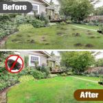 CONKAT Mole Repellent Outdoors, Powerful Mole Repellant for Lawns, Vole Repellent, Gopher and Groundhog Repellant Outdoor, Mole Control, Safe for Lawn and Garden- 8P