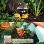 Natural Raccoon Repellent Granules – 8-Pack (25g per Bag) | Eco-Friendly, Non-Toxic & Long-Lasting Protection with Garlic, Peppermint & Wintergreen Oils | Safe for Pets and Children