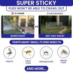 50 Window Fly Traps Sticky Non-Toxic Clear Fly Paper Indoor for Home. No Mess Flies Window Sticky Traps Bug Flies Strips Indoors. Fruit and Housefly Trap Indoor Flypaper Tape Gnat Catcher Killer