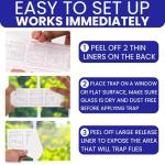 50 Window Fly Traps Sticky Non-Toxic Clear Fly Paper Indoor for Home. No Mess Flies Window Sticky Traps Bug Flies Strips Indoors. Fruit and Housefly Trap Indoor Flypaper Tape Gnat Catcher Killer