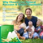 24 Pack Natural Raccoon Repellent - Peppermint Skunk Repellent for Outdoor Yard Attic Garden House | Long-Lasting Protection | Safe for Dogs and Children, Light Green