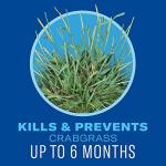 BioAdvanced 5 In 1 Weed and Feed, Granules, 9.6LB